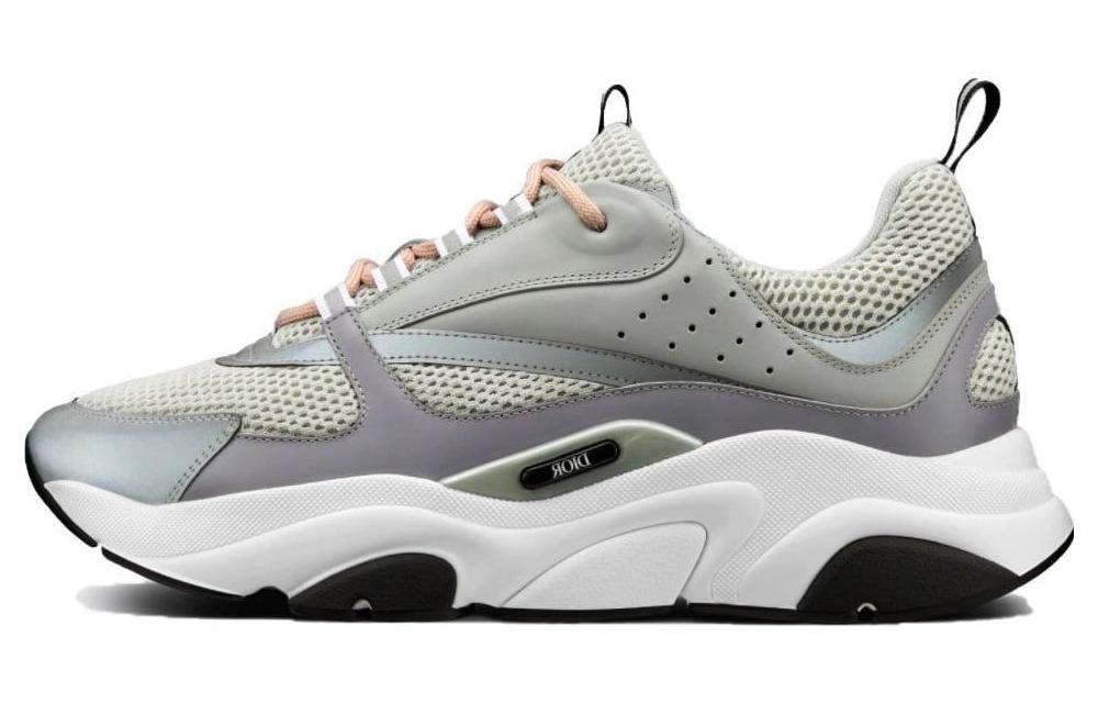 DIOR B22 Grey White