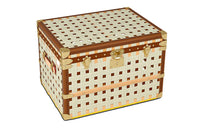 LOUIS VUITTON Straps Trunk