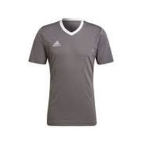 adidas Entrada 22 Jersey Asia Sizing 'Grey' HE1574