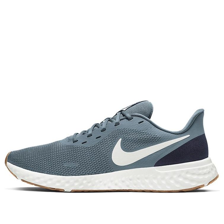 Nike Revolution 5 Light Blue BQ3204-012