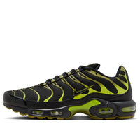 Nike Air Max Plus 'Pacific Moss' DM0032-010