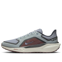 Nike Air Zoom Pegasus 41 Gore-Tex 'Light Pumice Ashen Slate Burgundy' FQ1356-003