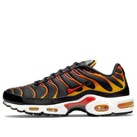 Nike Air Max Plus 'Reverse Sunset' DC6094-001
