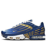 (GS) Nike Air Max Plus 3 'Deep Royal Topaz Gold' CD6871-402