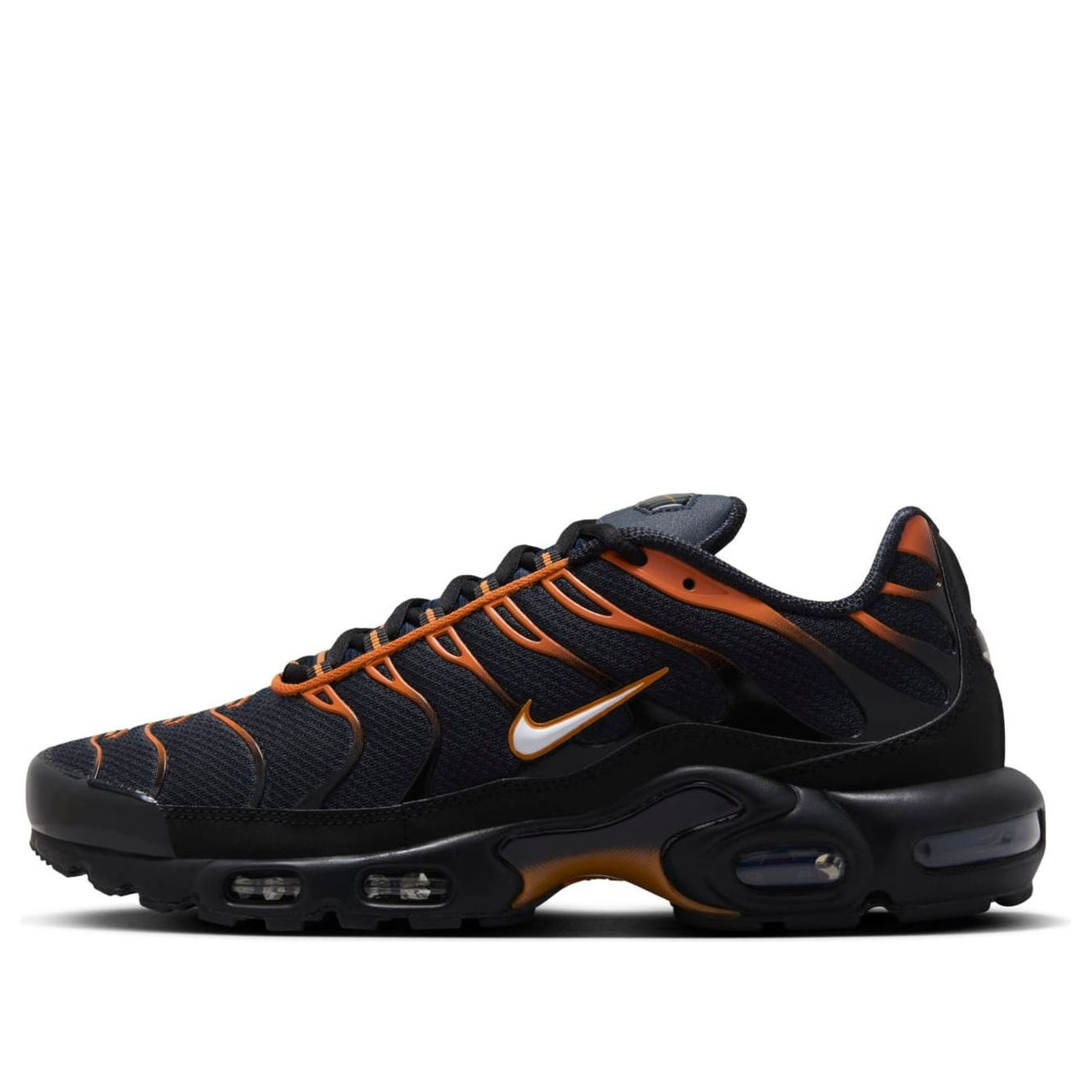 Nike Air Max Plus 'Dark Obsidian Monarch' FN6949-400