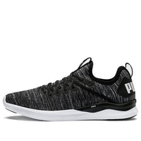 PUMA Ignite Flash EvoKnit 'Black Asphalt' 190508-02