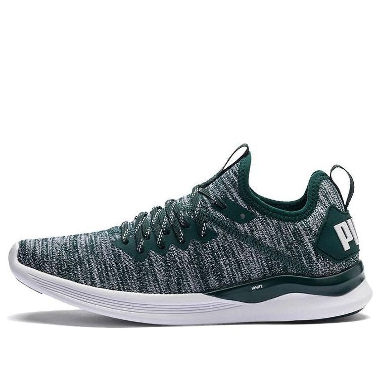 (WMNS) PUMA Ignite Flash Evoknit 'Gray Green White' 190511-16