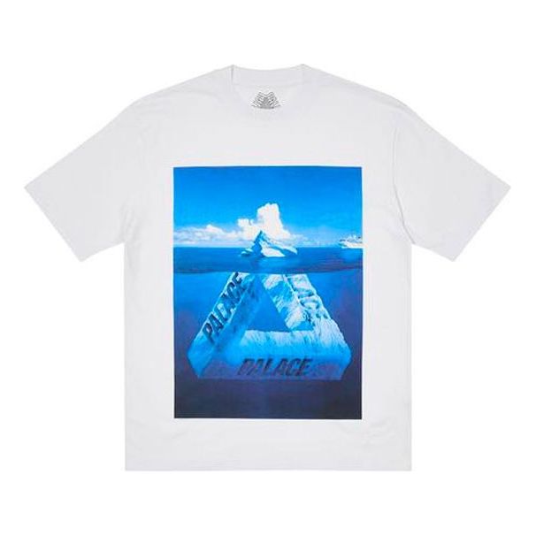 Palace Berg-Ferg T-Shirt 'Grey' P21TS182