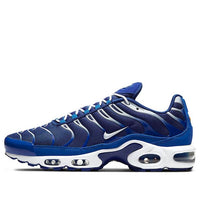Nike Air Max Plus 'Arctic Chill' CW7024-400