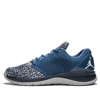 Air Jordan Trainer ST 'French Blue' 820253-403