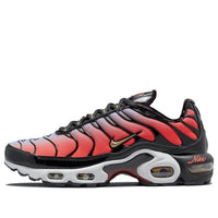 (WMNS) Nike Air Max Plus 'Sisterhood' DO6115-500