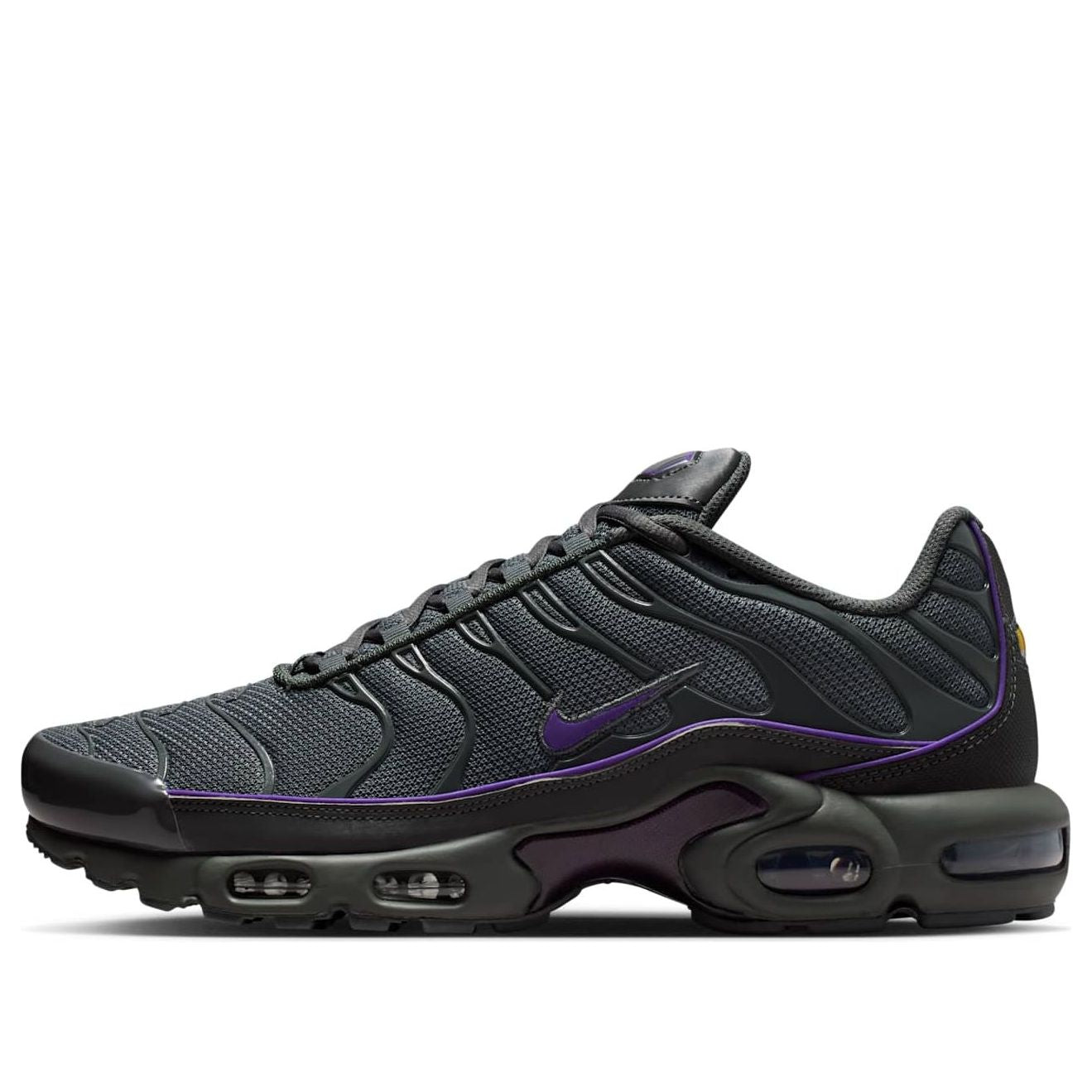 Nike Air Max Plus 'Iron Grey Wild Grape' HV8066-001