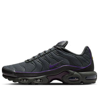 Nike Air Max Plus 'Iron Grey Wild Grape' HV8066-001