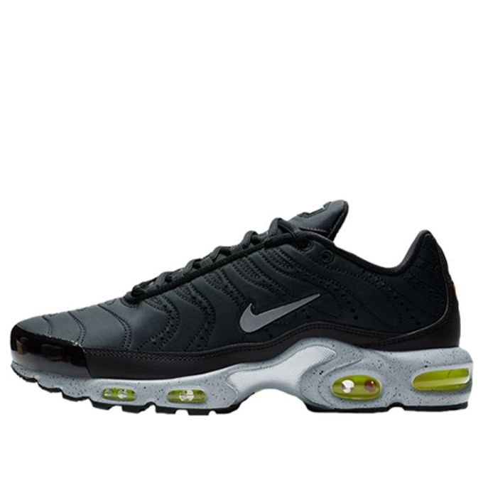 Nike Air Max Plus Premium 'Matte Silver' 815994-003