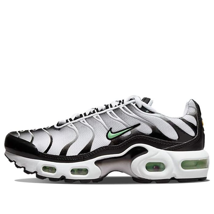 (GS) Nike Air Max Plus 'White Reflect Silver Fresh Mint' CD0609-106