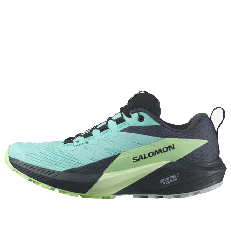 (WMNS)SALOMON Sense Ride 5 GTX 'Blue Radiance' 472160 / L47216000