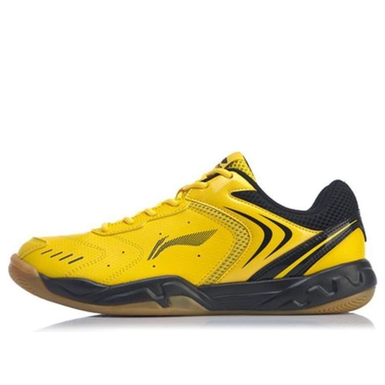 Li-Ning Badminton Training Shoes AYTP065-2