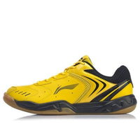 Li-Ning Badminton Training Shoes AYTP065-2