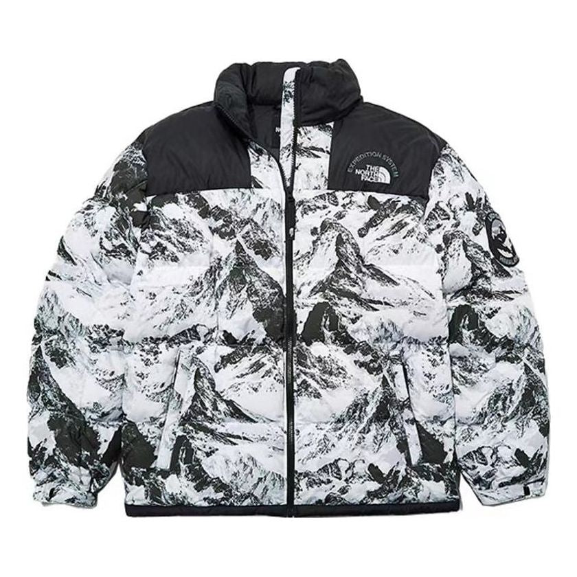THE NORTH FACE FW22 DOWN Jacket NJ1DN57A