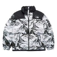 THE NORTH FACE FW22 DOWN Jacket NJ1DN57A