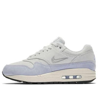 (WMNS) Nike Air Max 1 Premium 'Royal Tint' AA0512-004
