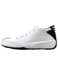 Air Jordan 20 OG 3/4 'White Garnet' 312348-101