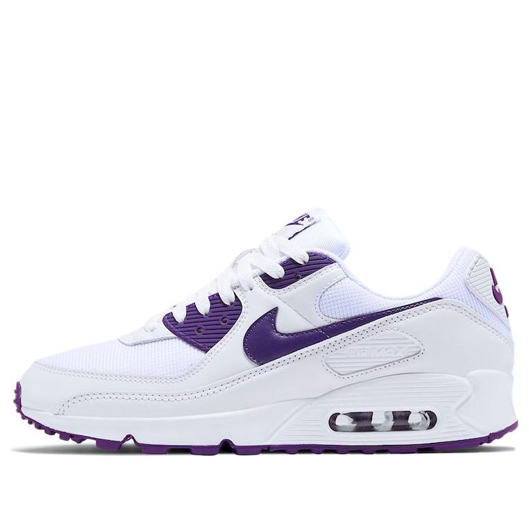 Nike Air Max 90 'Color Pack - Court Purple' CT1028-100