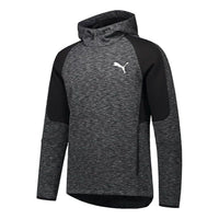 PUMA Evostripe Hoodie 'Grey Black White' 588663-01