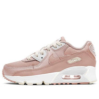 (PS) Nike Air Max 90 'Pink Oxford' CD6867-601