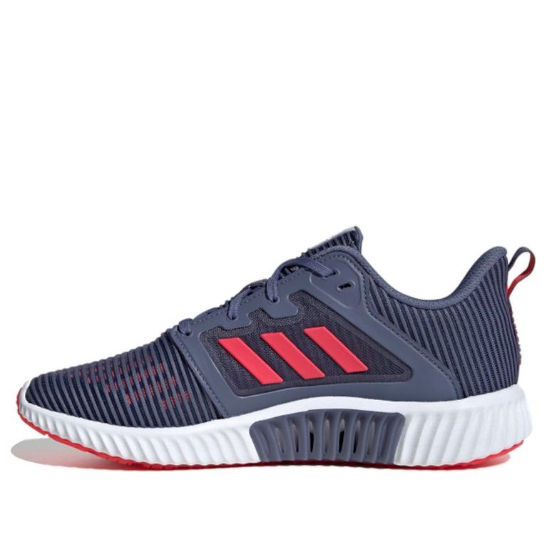 (WMNS) adidas Climacool Vent 'Blue Pink White' B41604