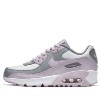 (GS) Nike Air Max 90 Leather 'Iced Lilac' CD6864-002