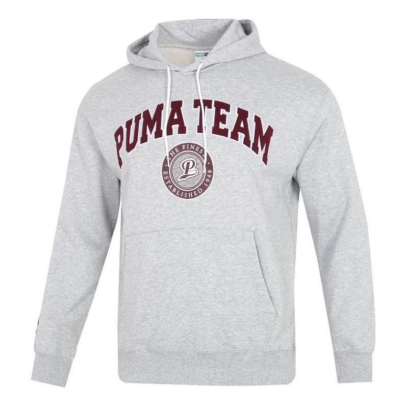 PUMA Team Hoodie 'Grey' 539274-04