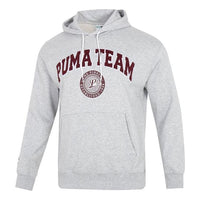 PUMA Team Hoodie 'Grey' 539274-04