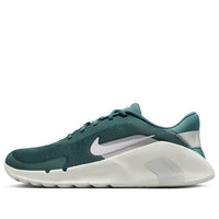 Nike Flex Train 'Mineral Slate' HV9972-302