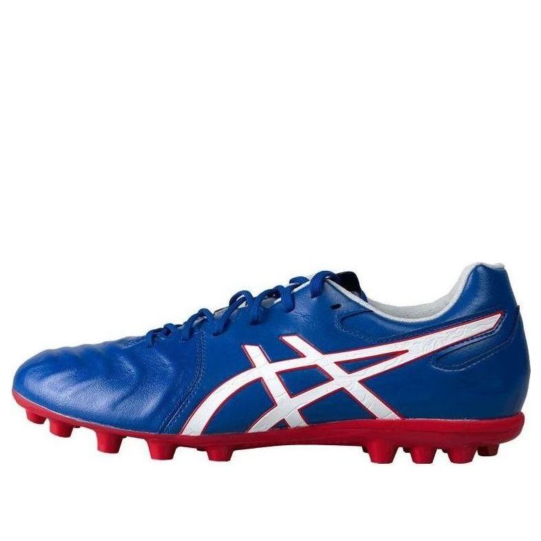 ASICS DS Light AG 'Blue Red'  1103A032-401