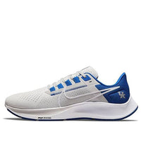 Nike Air Zoom Pegasus 38 'Kentucky' DJ0830-001