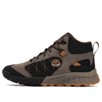 Timberland Trailquest 'Black Brown' A2PST901