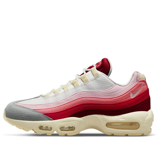 Nike Air Max 95 'Anatomy Of Air' DM0012-600