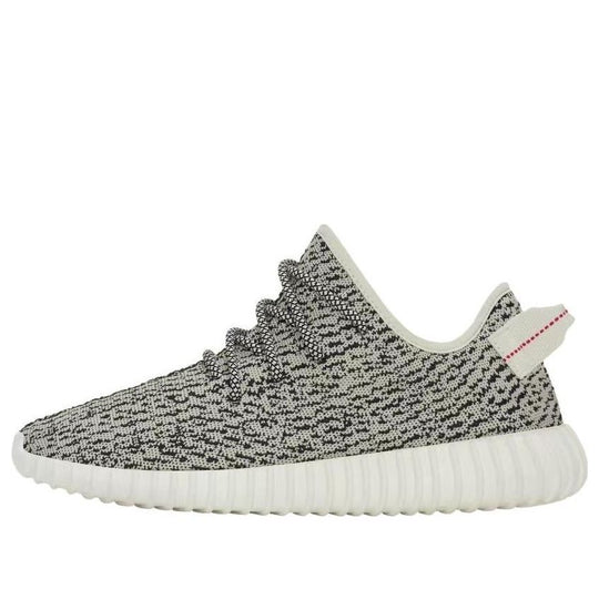 Yeezy Boost 350 'Turtle Dove' AQ4832