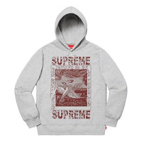 Supreme FW19 Week 2 Doves Hooded Sweatshirt SUP-FW19-305