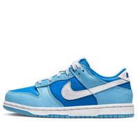 (PS) Nike Dunk Low Retro QS 'Argon' 2022 DV2635-400