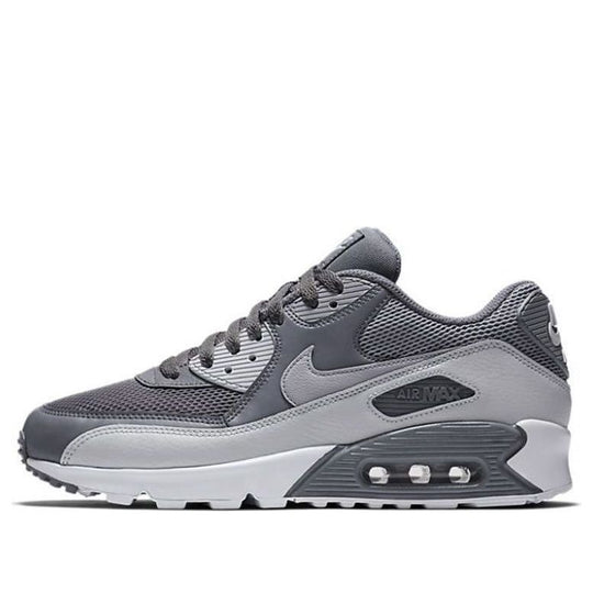 Nike Air Max 90 Essential 'Cool Grey Pur Platinum' 537384-073