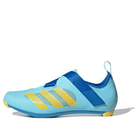 adidas The Indoor Cycling 'Blue Yellow' GZ4762