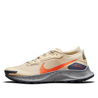 Nike Pegasus Trail 3 GTX 'Rattan Campfire Orange' DC8793-200