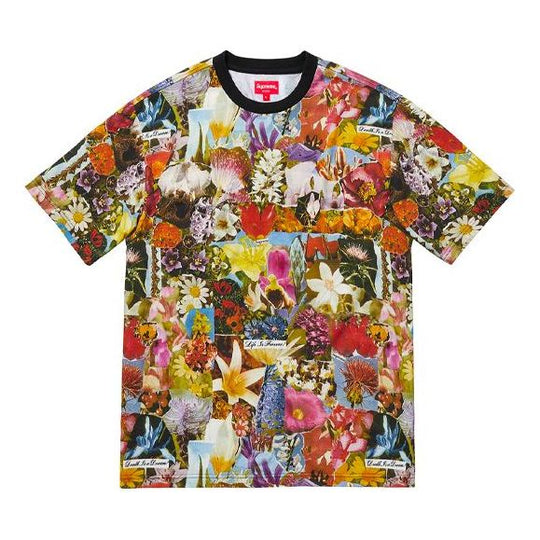 Supreme FW18 Dream SS Top Multicolor Tee SUP-FW18-933