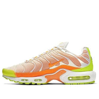 Nike Air Max Plus 'Color Flip' CI5924-531