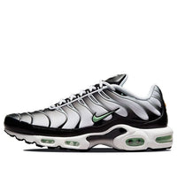 Nike Air Max Plus 'Seafoam' DH4776-100