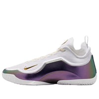 Nike LeBron 23 Elite For The Record 'White' IB9557-100
