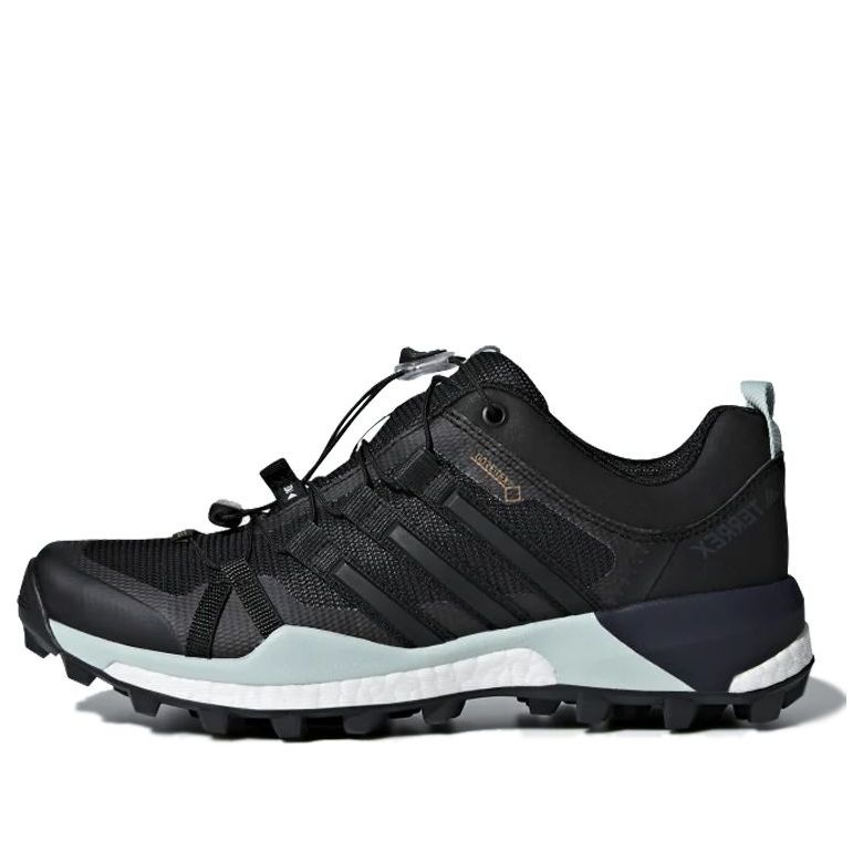 (WMNS) adidas Terrex Skychaser Gtx 'Black Green' CQ1744