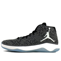 Air Jordan Ultra Fly 'Cool Grey' 834268-003